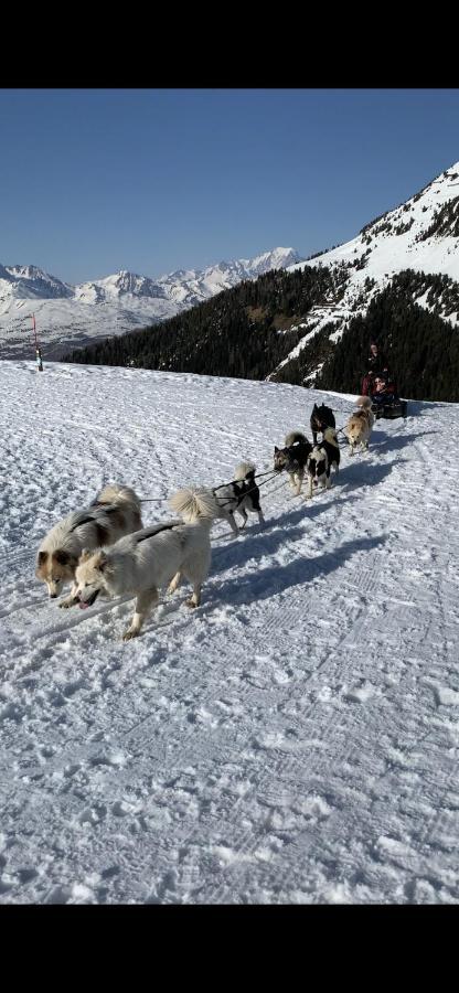 Bel Appartement Ski Aux Pieds Plagne Bellecote ลาปลาญ ภายนอก รูปภาพ